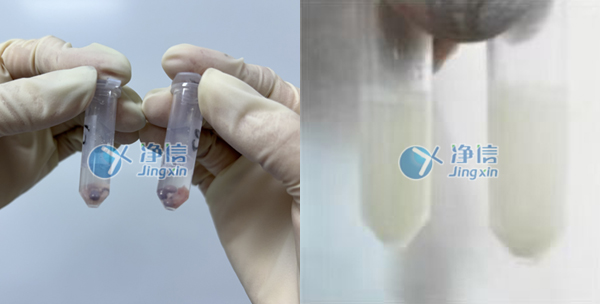 冷凍組織研磨儀對裸鼠腫瘤組織塊樣品的前處理實(shí)驗研磨